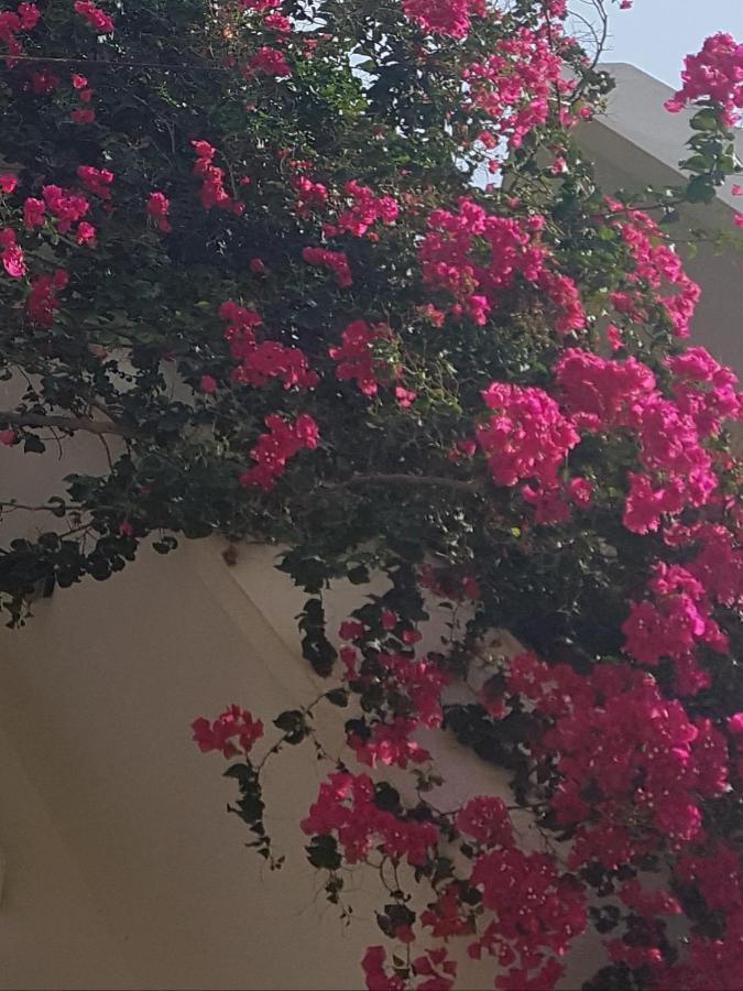 Noble Inn Loutraki  Bagian luar foto